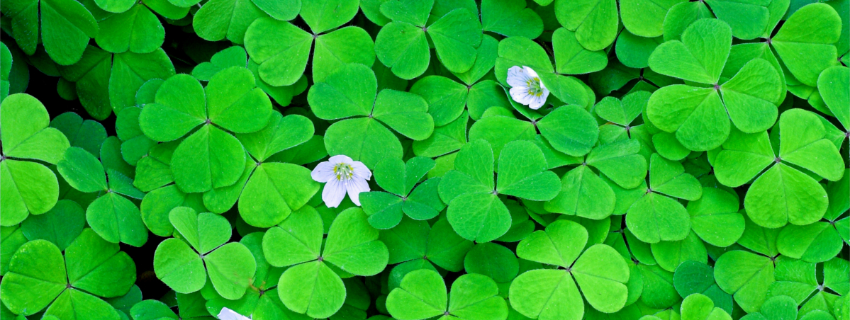 Prevenzione 2025 - NUTRIZIONALE - VILLA BARBARANO