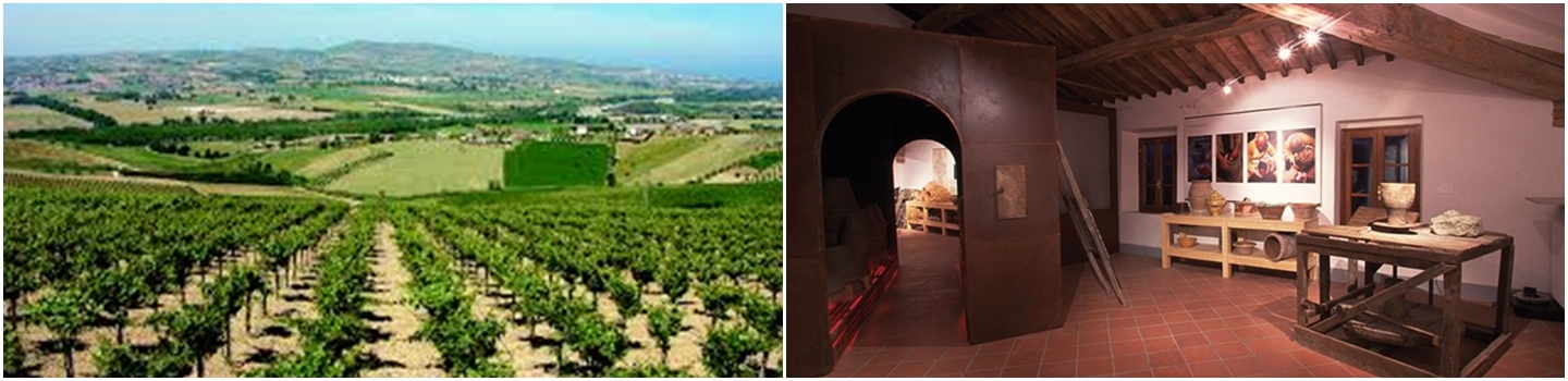 Delizie Toscane e Siena