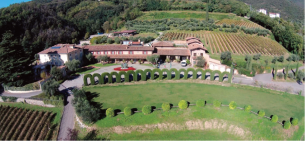 Visita alla Cantina La Montina - Monticelli Brusati