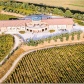 Visita alla Cantina Perla del Garda di Lonato