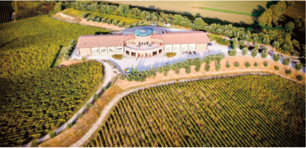 Visita alla Cantina Perla del Garda di Lonato