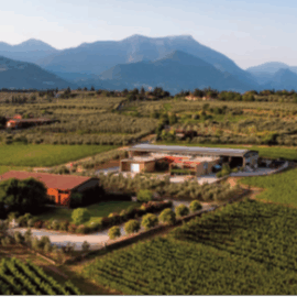 Visita alla Cantina Azienda Pasini San Giovanni - Raffa