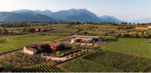 Visita alla Cantina Azienda Pasini San Giovanni - Raffa